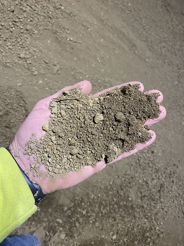 Hand holding pile of dirt